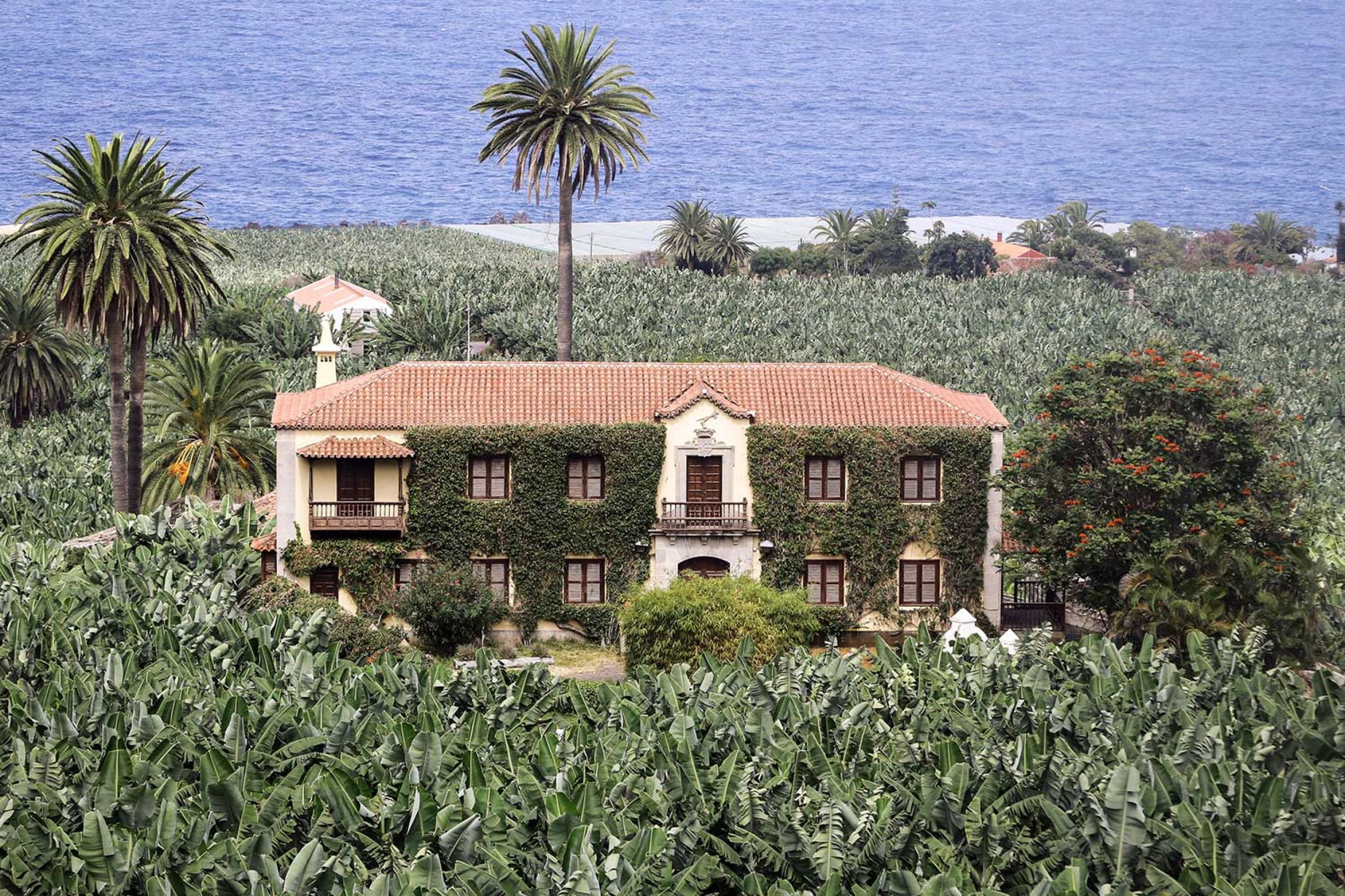 Franchy Locations - Tenerife Films
